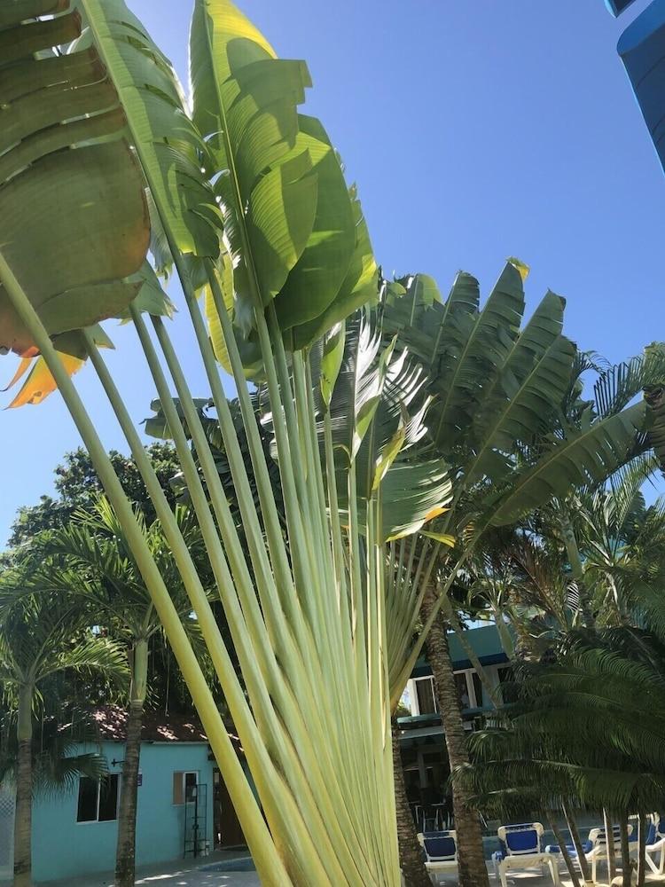 New Garden Hotel Sosúa Esterno foto