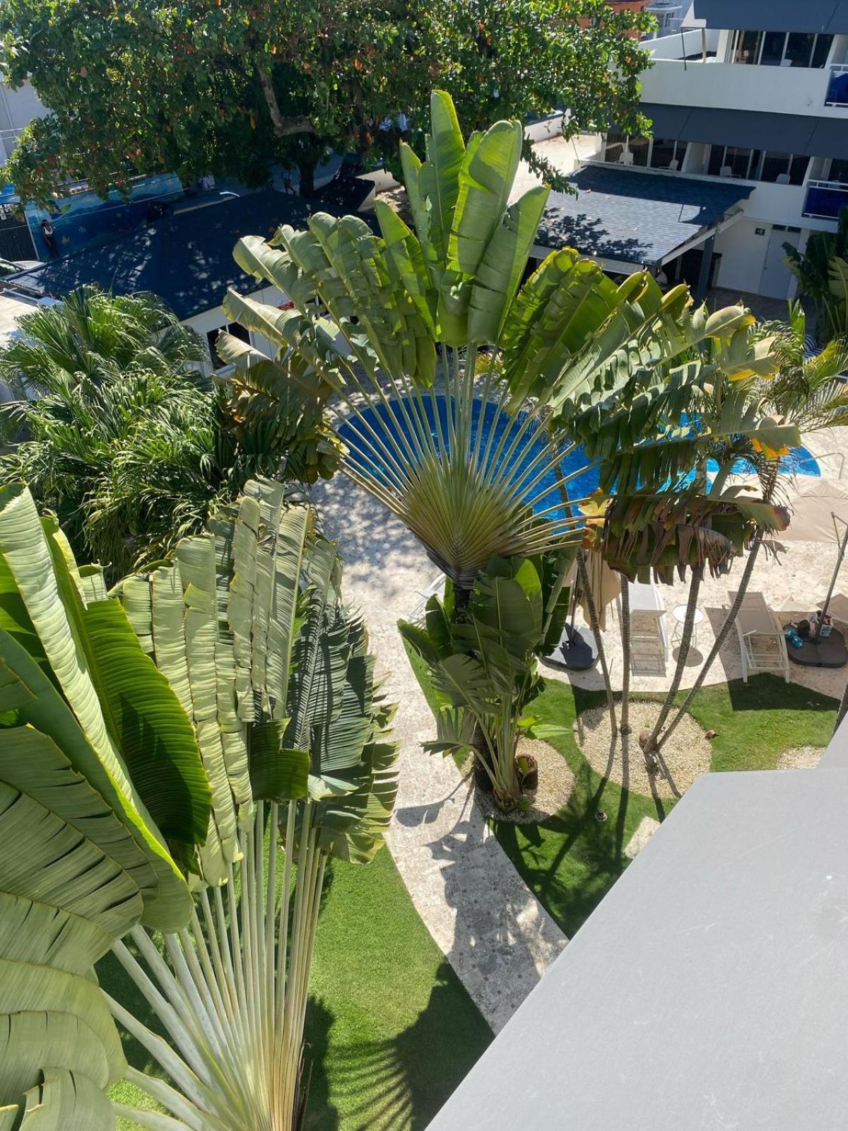 New Garden Hotel Sosúa Esterno foto